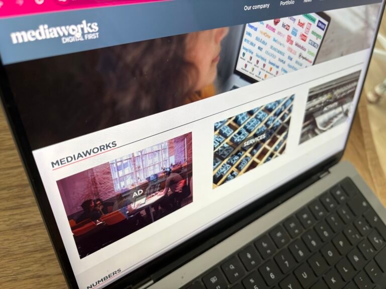 Political Interference and Financial Outcomes: Analysis of Hungarian Media Companies